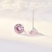 Liming fashion gift sterling silver s925 zircon earrings Japanese and Korean silver cross-border birthstone accessories four-claw earrings