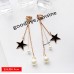 No pierced ear clips Korean temperament simple earrings fresh and wild personality trendy earrings long earrings wholesale