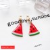No pierced ear clips Korean temperament simple earrings fresh and wild personality trendy earrings long earrings wholesale